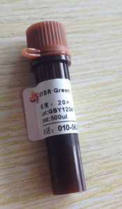 SYBR Green I核酸染料 (荧光PCR用）