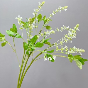 小清新自然仿真花鼠尾草薰衣草洋苏草小碎花小野花软装饰花艺配花