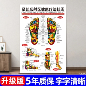 足疗足底按摩穴位图足部反射区挂图脚底经络图片中医养生宣传海报