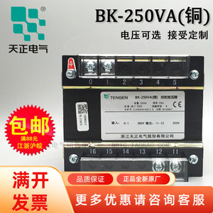 天正电气BK-250VA全铜控制变压器380/220 110 36 24 12 6 交流