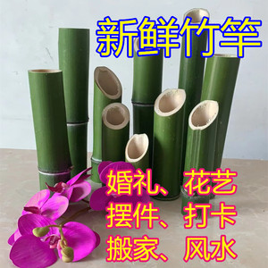新鲜竹筒婚礼插花特色摆件造景装饰绿色竹子天然花艺装扮竹竿竹杆