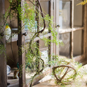 掬涵黑骨芒仿真花绿植缠绕藤蔓蕨类植物装饰造景仿真园艺装饰挂件