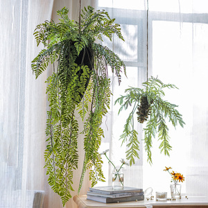 掬涵仿真蕨类植物吊球垂吊挂饰壁挂创意吊顶绿植花艺橱窗装饰