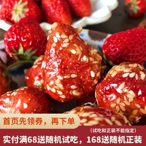 花吃点 冻干冰糖草莓老北京冰糖葫芦休闲食品100g
