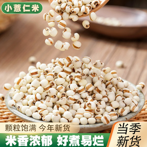 农家小薏米仁 薏米 薏仁米 苡米仁250g 贵州特产五谷杂粮粗粮粮油
