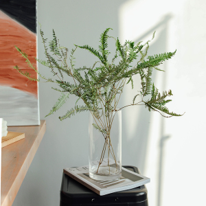 天然风干蕨叶芒萁叶干花插花搭配配草植物叶子客厅装饰摆件乾燥花