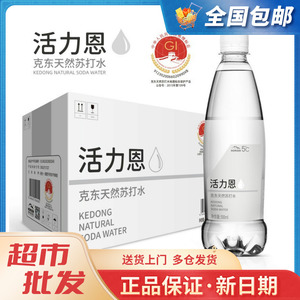 活力恩（HORIEN）克东天然弱碱性苏打水500ML*15瓶 整箱