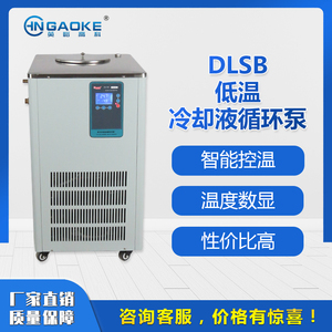 英峪高科 DLSB低温冷却液循环泵5L 实验室用低温液体低温水浴防爆