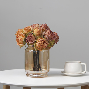 欧式复古创意时尚玻璃瓶花瓶水培鲜花餐桌客厅玄关 流金岁月