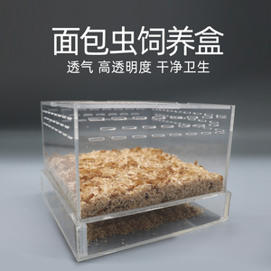 鲜活养殖面包虫活体大麦黄粉虫饲养盒专业杜比亚蟋蟀饲料养殖盒