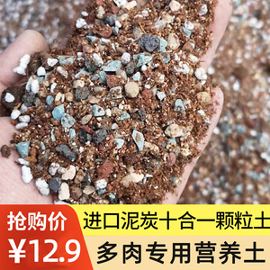 多肉颗粒土专用营养土进口泥炭种植土小苗叶插铺面石家用透气泥土