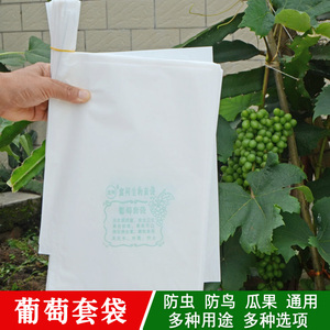 葡萄套袋防虫防鸟神器葡萄专用纸袋瓜果防虫网袋育果袋套葡萄袋子