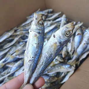 福建特产淡干巴浪鱼干鱼肉深海鱼干咸鱼干海鲜干货即食零食500g