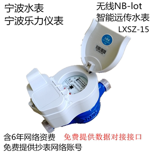 宁波总厂水表无线NB-LOT远传水表无线LORA远传水表DN15-DN50