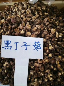 新疆食用农产品巴音布鲁克黑丁子野蘑菇煲汤炖菜炒菜一斤装包邮