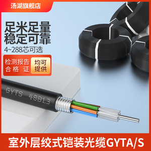 汤湖 GYTA/S 层绞式铠装 单模室外4芯光缆单模光纤6/8/12/24/48/72/96/144芯光纤线