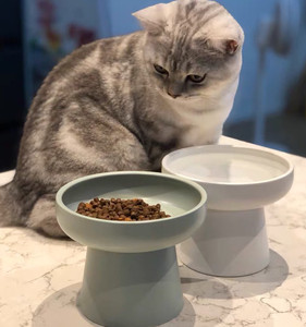 加菲猫食盆陶瓷高脚保护颈椎大口径猫粮盆饭碗饮水碗防翻斜口猫碗