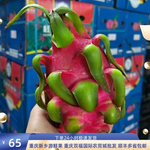 越南红心火龙果 10斤整箱现货顺丰包邮当季重庆双福新鲜 进口水果