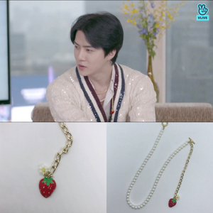 EXO 吴世勋同款正品 设计师品牌 串珠草莓项链 韩国代购