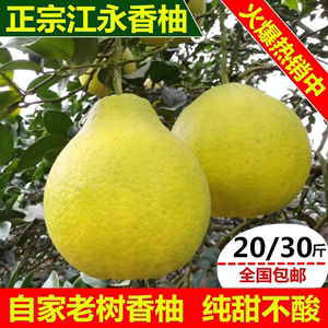 正宗江永香柚20斤30斤老树纯甜柚子永州特产孕妇水果湖南沙田柚