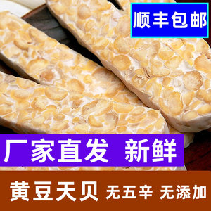 天贝素食毛毛黄豆腐纳瓣印丹尼Tempe/tempeh发酵菌制品大蛋白素肉