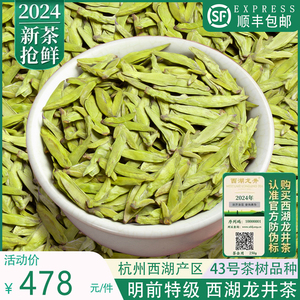 正宗西湖龙井2024年新茶明前特级绿茶浓香散装龙井群体种茶叶250g