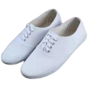 儿童练功武术白色男鞋女鞋儿童鞋帆布鞋白球鞋白布鞋系带