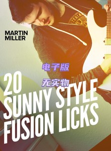 20 Sunny Style Fusion Licks Martin Miller 夏日融合吉他乐句