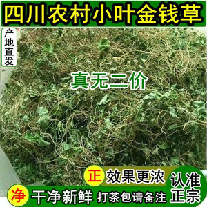 金钱草溶石草四川农村干净新鲜小叶金钱草茶中草茶干货马蹄金500g