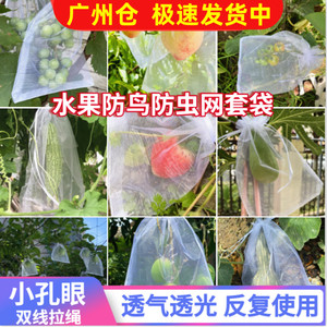 水果保护袋草莓防鸟防虫网眼袋西红柿番茄葡萄专用网套袋网眼袋子