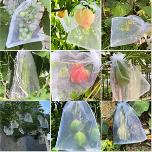 水果保护袋草莓防鸟防虫网眼袋西红柿番茄葡萄专用网套袋网眼袋子