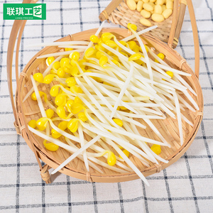 仿真豆芽菜模型塑料假蔬菜品菜豆类厨房配菜道具摆盘嫩芽儿童玩具