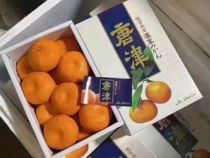 佐贺唐津蜜柑爱媛蜜橘皮薄多汁孕妇小孩2斤左右精品礼盒新鲜水果