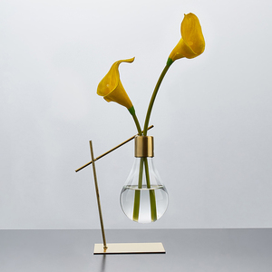 ins北欧创意透明水培小花瓶摆件轻奢插花装饰品客厅桌面现代简约
