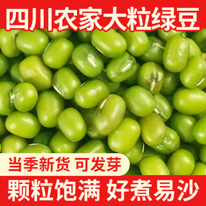 新货绿豆5斤四川农家新鲜生豆芽专用新绿豆汤材料绿豆粥豆子杂粮
