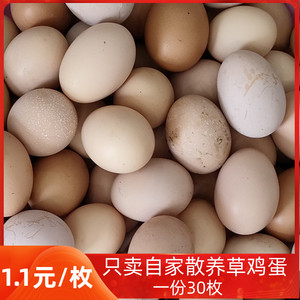 如皋农家草鸡蛋30枚土鸡蛋农村散养五谷杂草蔬菜新鲜柴鸡蛋包邮