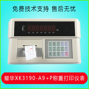 上海耀华XK3190-A9+P称重仪表显示器地磅汽车衡带打印表头工业