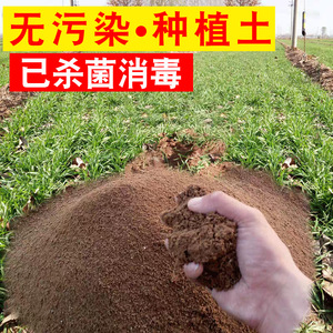 优质田园土直销杀菌普通养花土营养土通用楼顶种菜专用土荷塘泥土