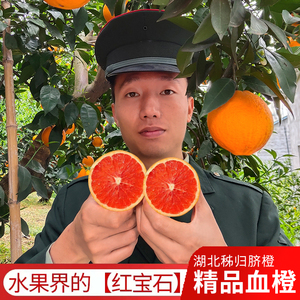 血橙新鲜水果10斤中华红橙精品红肉红心橙子手剥当季大果包邮