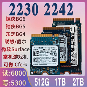 东芝BG4铠侠BG5 BG6 KBG40ZNS1T 2TB苹果15Pro固态硬盘SSD相机Cfe