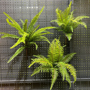 蕨类植物仿真假草室内植物墙配材绿植热带雨林装饰插花造景肾蕨