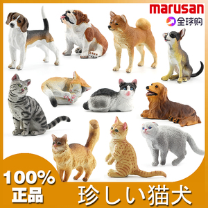 日本marusan仿真动物模型玩具 农场猫咪狗狗系列汪星人喵星人秋田