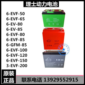 理士EV胶体蓄电池叉车电池6-EVF-65 6-EV-80 6-GFM-85 3-EVF-200