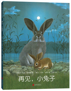 正版 爱心树世界杰出绘本选：再见，小兔子（精装绘本） 97875502