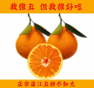 四川成都蒲江丑柑丑橘不知火产地现摘现发5斤包邮新鲜