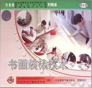 CCTV7农广天地 书画装裱技术 2VCD光盘