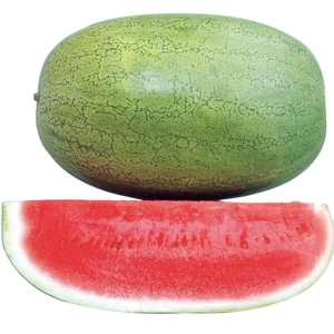 新红宝西瓜20粒种子台湾大西瓜老品种西瓜 庭院种植家庭聚宝一号
