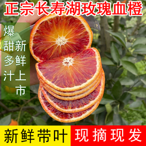 长寿湖正崇新鲜晚熟血橙皮薄多汁橙子孕妇当季水果现摘现发带叶