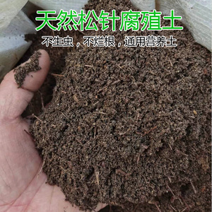 腐熟松针土天然腐殖土种菜土壤通用型腐叶土种植土兰花多肉营养土