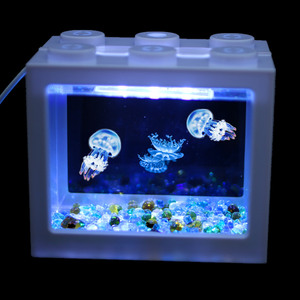 赤月倒立海月水母活物体验缸小型桌面宿舍好养水生宠物观赏小水母